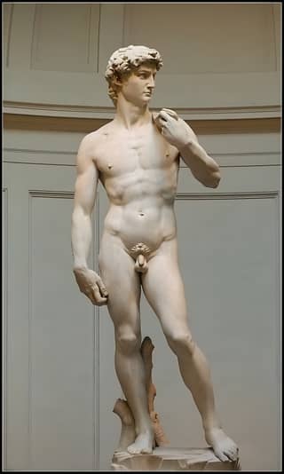 Michelangelo's David, a famous statue displayed at the Louvre in Paris, France.