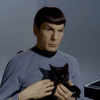 Spock is holding a black cat in his arms.