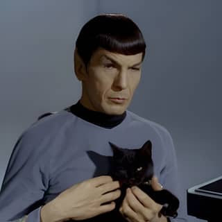 Spock kollarında siyah bir kedi tutuyor.