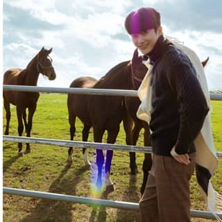 standing in front of a fence with horses